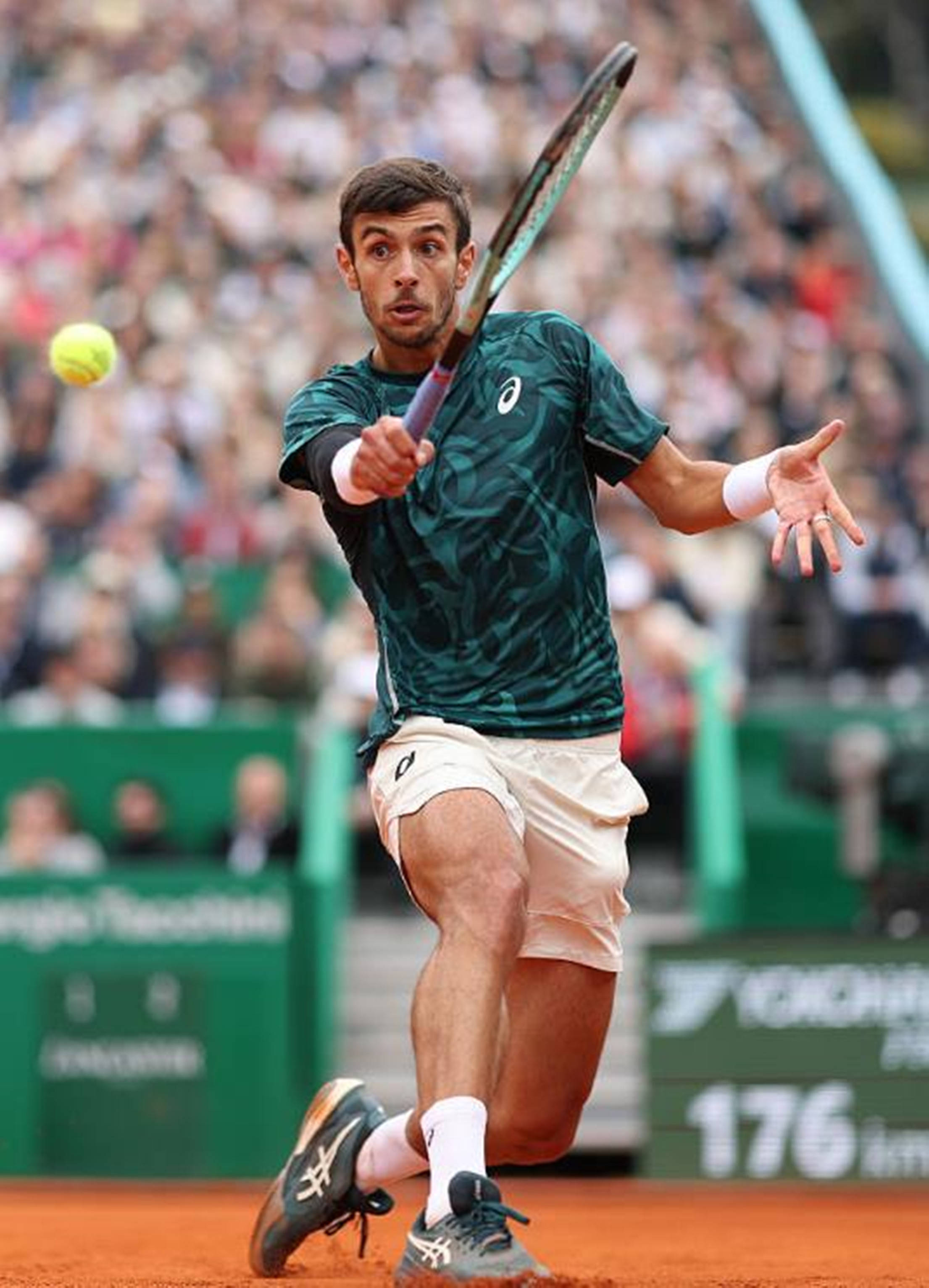 球队赢得了 球队赢得了