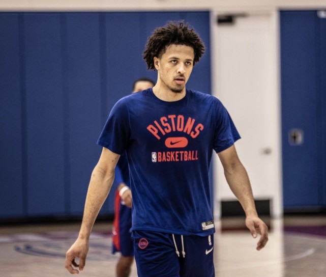 多处抓小鸟 多处抓小鸟